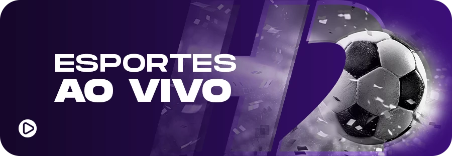 333bet cassino