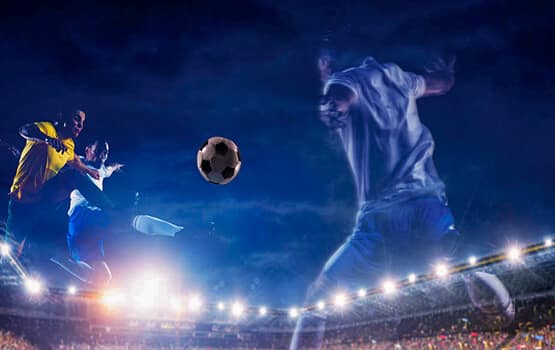 Jogo galo.